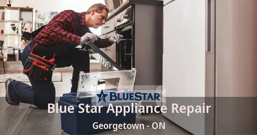 Blue Star Appliance Repair Georgetown - ON