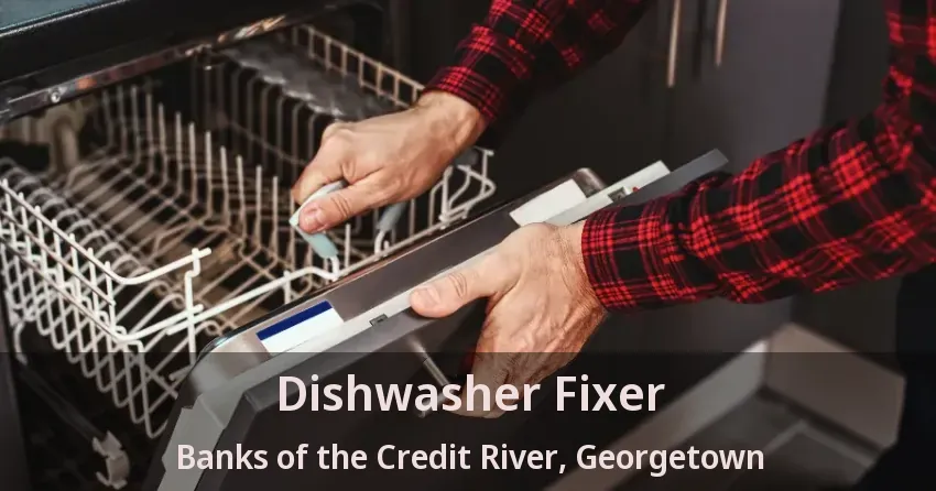 Dishwasher Fixer Banks of the Credit River, Georgetown - ON