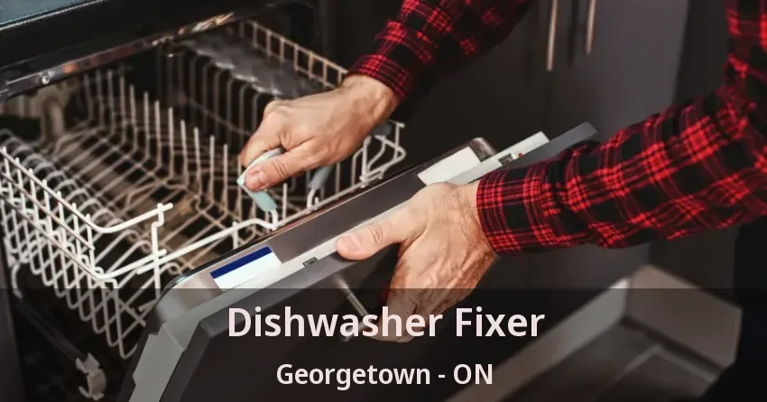 Dishwasher Fixer Georgetown - ON