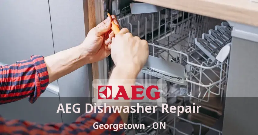 AEG Dishwasher Repair Georgetown - ON