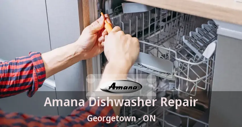 Amana Dishwasher Repair Georgetown - ON