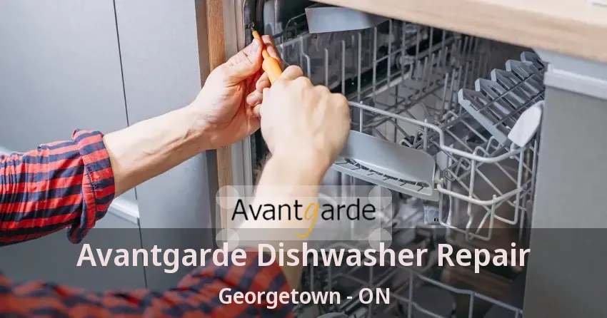 Avantgarde Dishwasher Repair Georgetown - ON