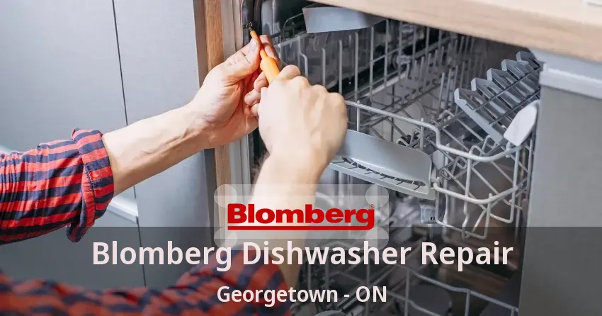 Blomberg Dishwasher Repair Georgetown - ON