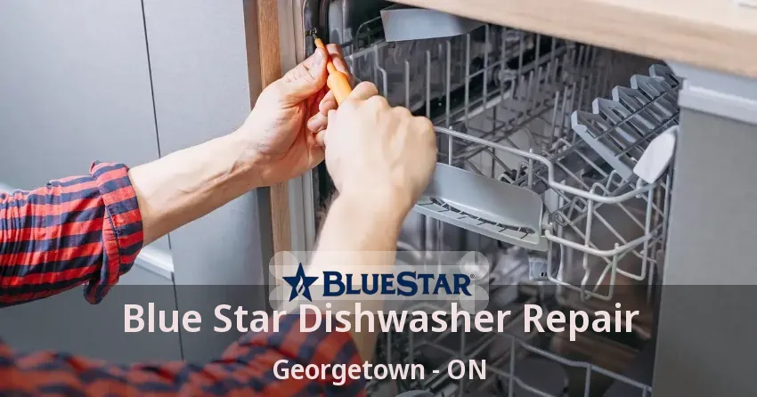 Blue Star Dishwasher Repair Georgetown - ON
