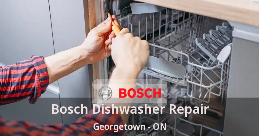Bosch Dishwasher Repair Georgetown - ON