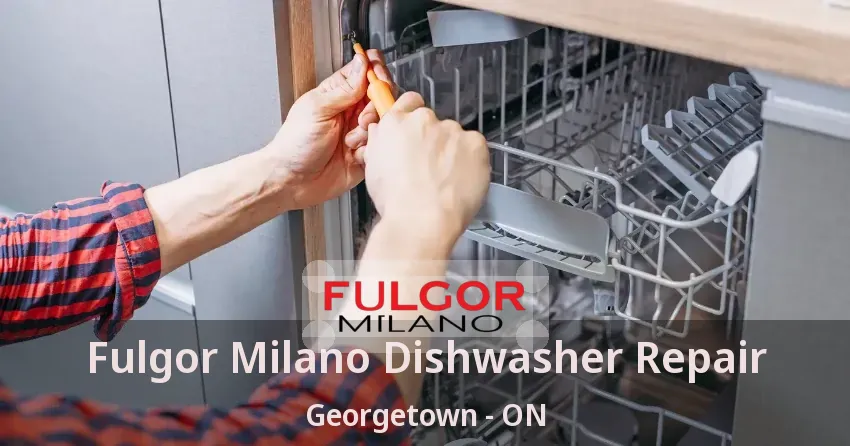 Fulgor Milano Dishwasher Repair Georgetown - ON