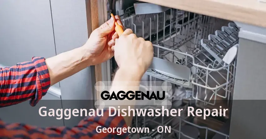 Gaggenau Dishwasher Repair Georgetown - ON