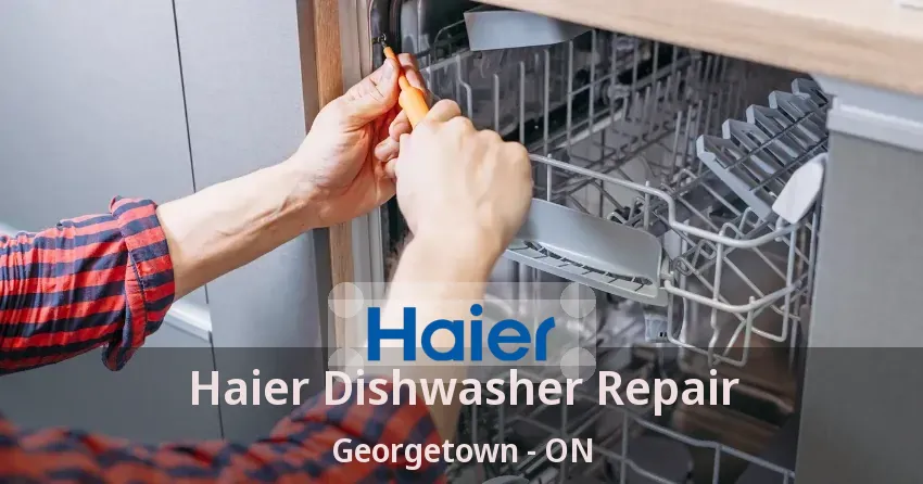 Haier Dishwasher Repair Georgetown - ON