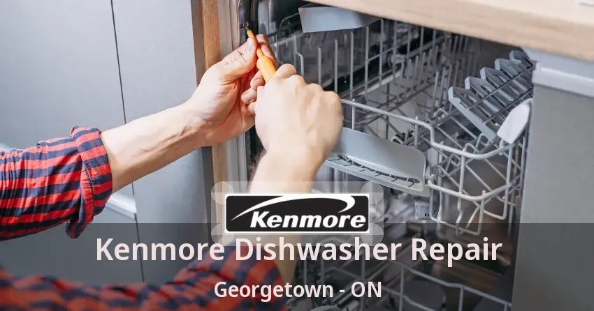 Kenmore Dishwasher Repair Georgetown - ON