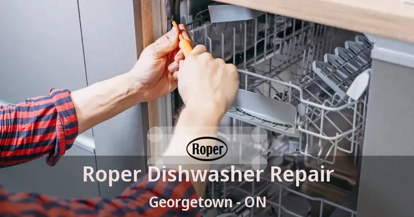 Roper Dishwasher Repair Georgetown - ON