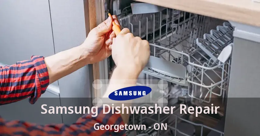 Samsung Dishwasher Repair Georgetown - ON