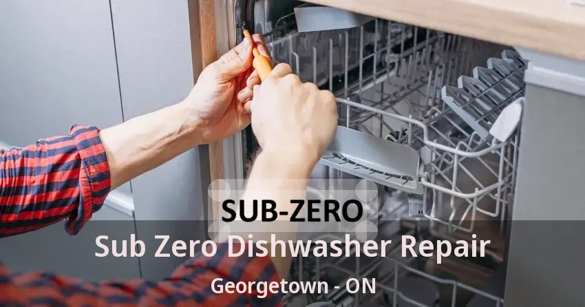 Sub Zero Dishwasher Repair Georgetown - ON