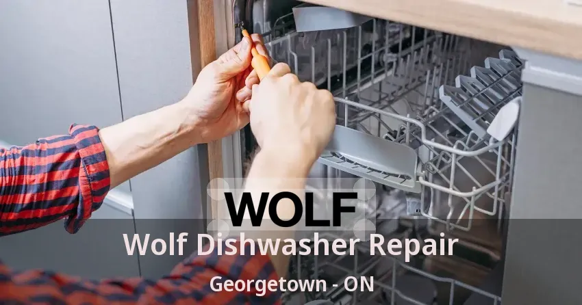 Wolf Dishwasher Repair Georgetown - ON