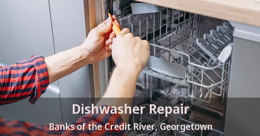 Dishwasher Repair Banks of the Credit River, Georgetown - ON