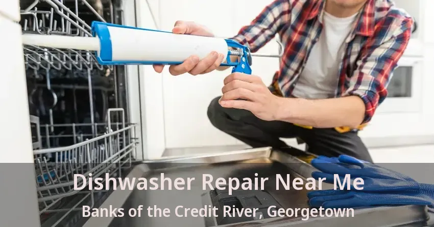 Dishwasher Repair Near Me Banks of the Credit River, Georgetown - ON