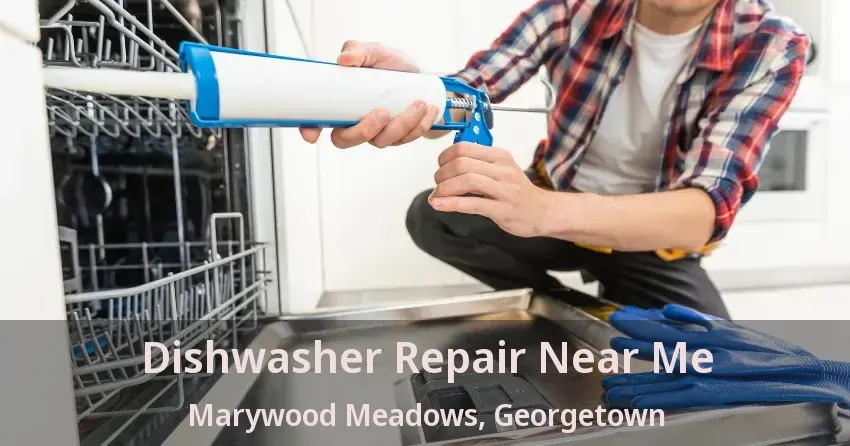 Dishwasher Repair Near Me Marywood Meadows, Georgetown - ON