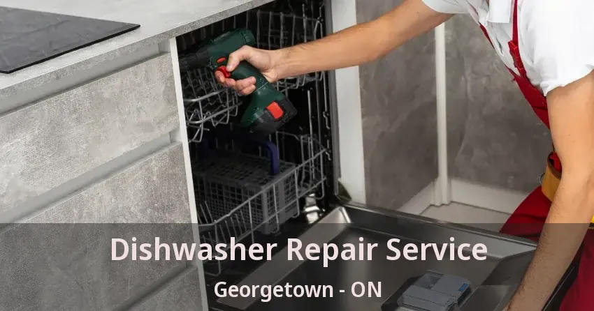 Dishwasher Repair Service Georgetown - ON