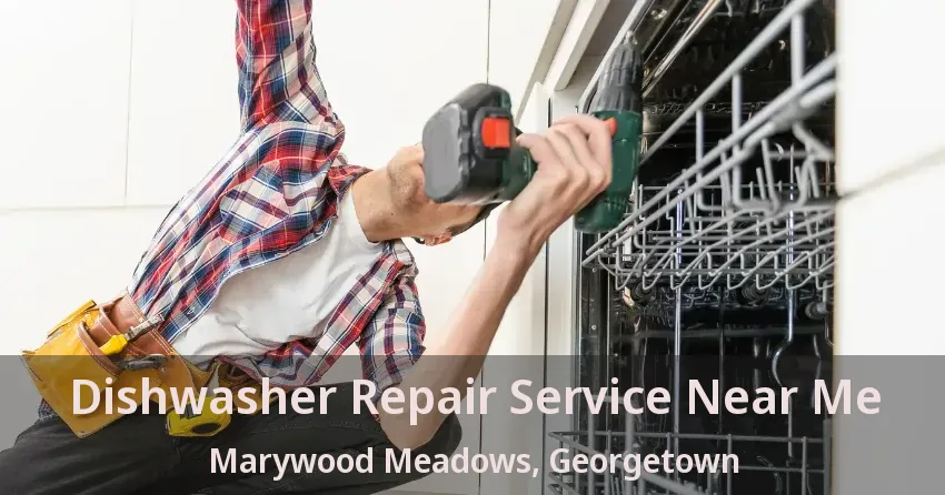 Dishwasher Repair Service Near Me Marywood Meadows, Georgetown - ON