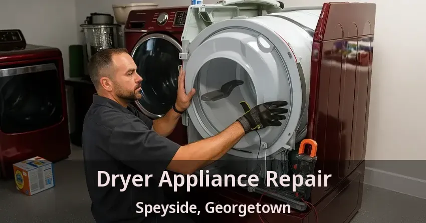 Dryer Appliance Repair Speyside, Georgetown - ON