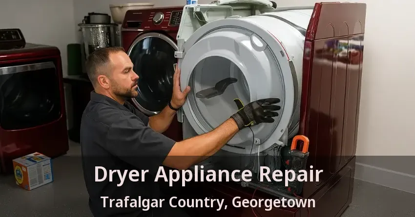 Dryer Appliance Repair Trafalgar Country, Georgetown - ON