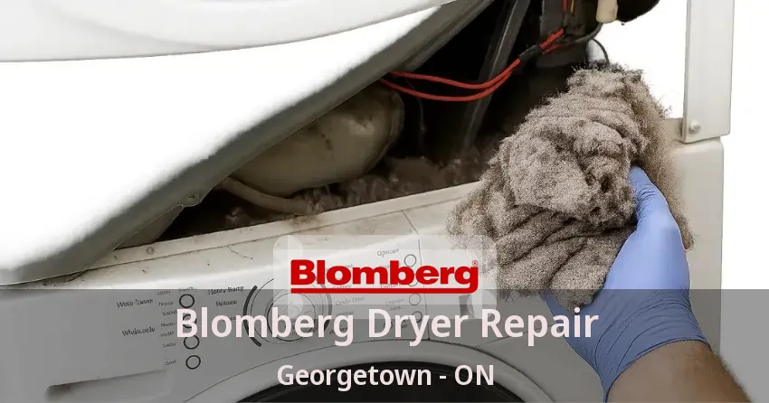 Blomberg Dryer Repair Georgetown - ON