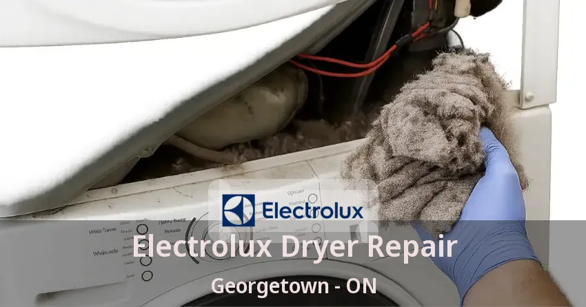 Electrolux Dryer Repair Georgetown - ON