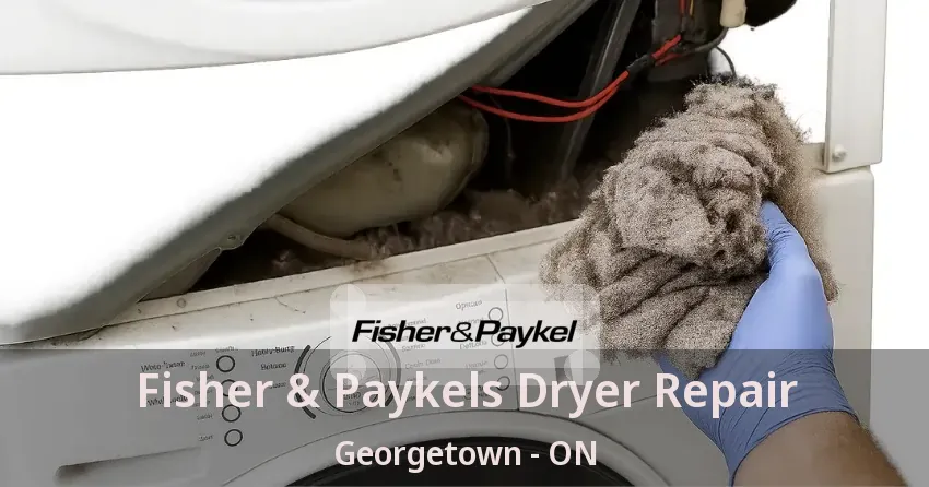 Fisher & Paykels Dryer Repair Georgetown - ON