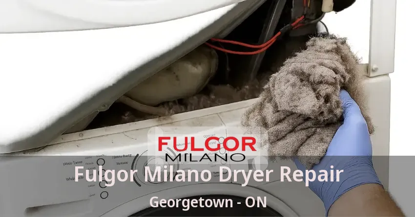 Fulgor Milano Dryer Repair Georgetown - ON