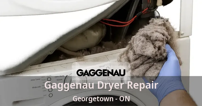 Gaggenau Dryer Repair Georgetown - ON