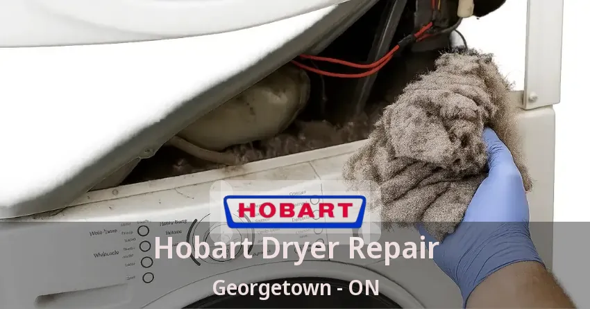 Hobart Dryer Repair Georgetown - ON