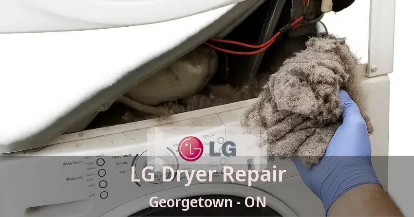 LG Dryer Repair Georgetown - ON