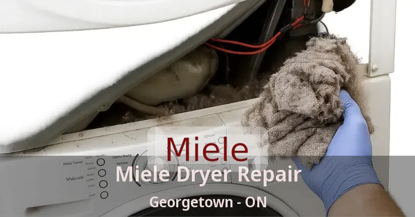 Miele Dryer Repair Georgetown - ON
