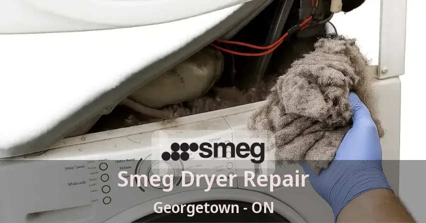 Smeg Dryer Repair Georgetown - ON