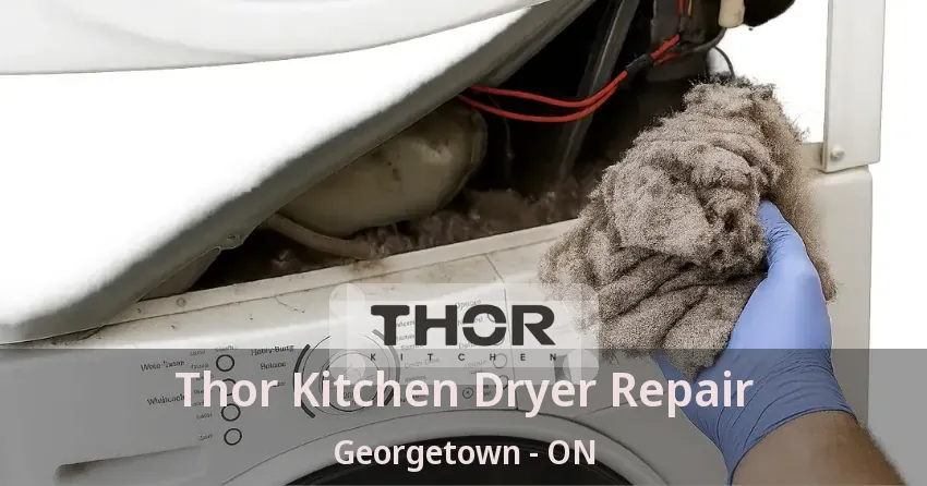 Thor Kitchen Dryer Repair Georgetown - ON