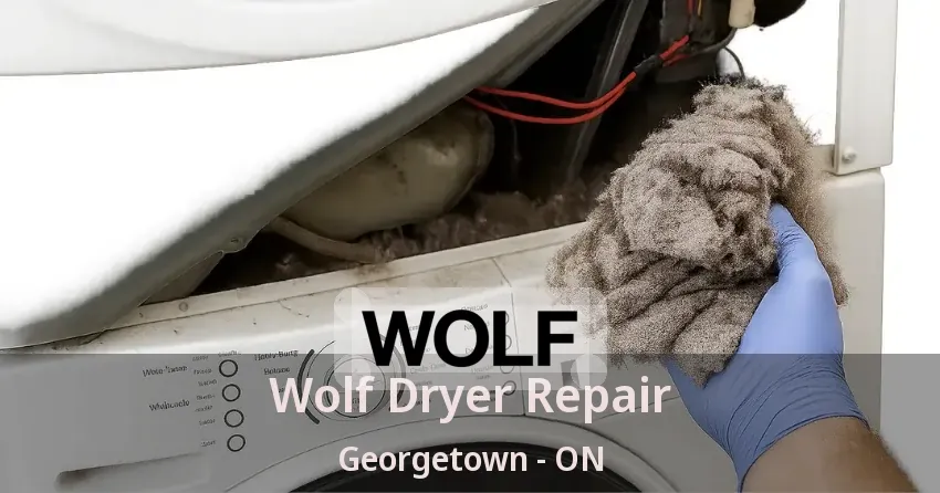 Wolf Dryer Repair Georgetown - ON