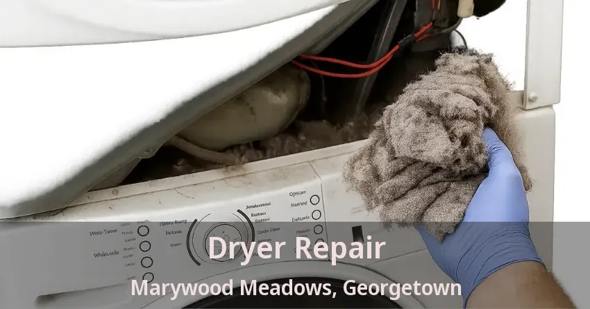 Dryer Repair Marywood Meadows, Georgetown - ON