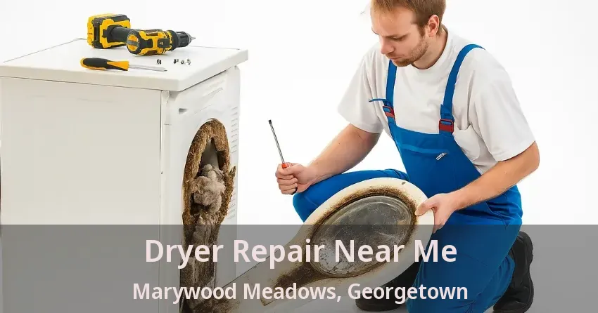 Dryer Repair Near Me Marywood Meadows, Georgetown - ON