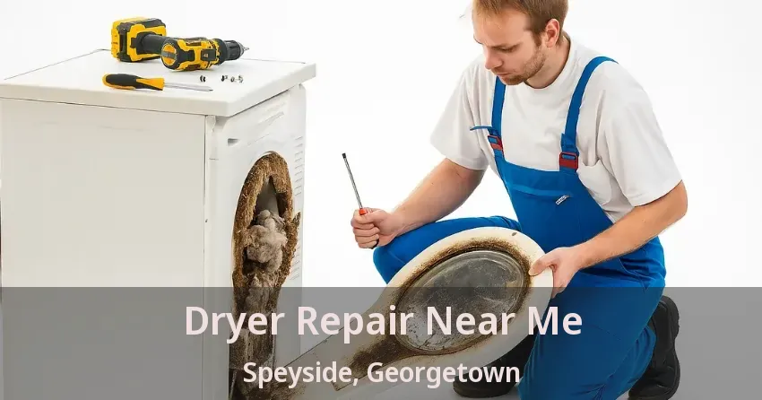 Dryer Repair Near Me Speyside, Georgetown - ON