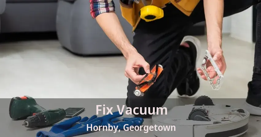 Fix Vacuum Hornby, Georgetown - ON