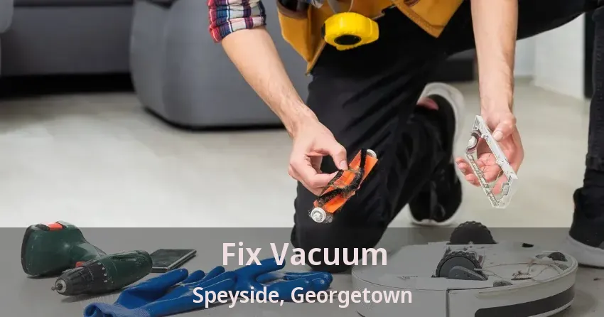 Fix Vacuum Speyside, Georgetown - ON