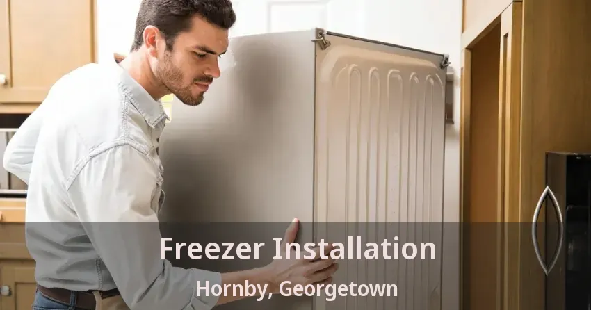 Freezer Installation Hornby, Georgetown - ON