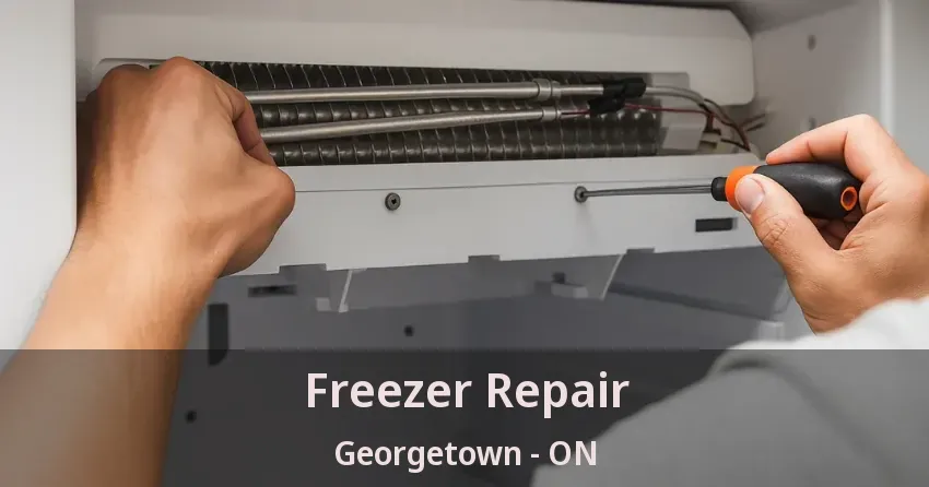 Freezer Repair Georgetown - ON