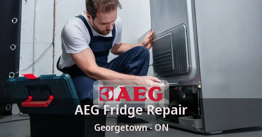 AEG Fridge Repair Georgetown - ON