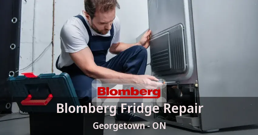 Blomberg Fridge Repair Georgetown - ON