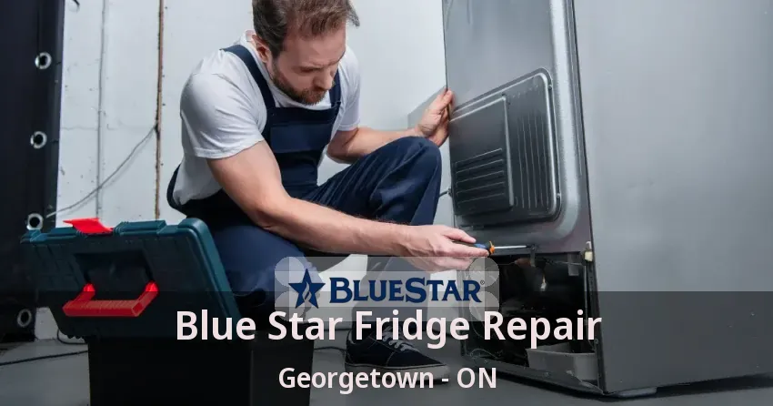 Blue Star Fridge Repair Georgetown - ON