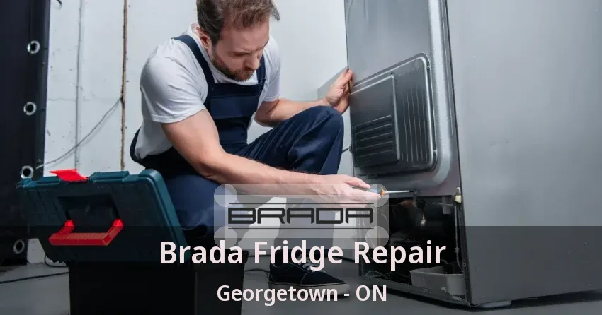 Brada Fridge Repair Georgetown - ON