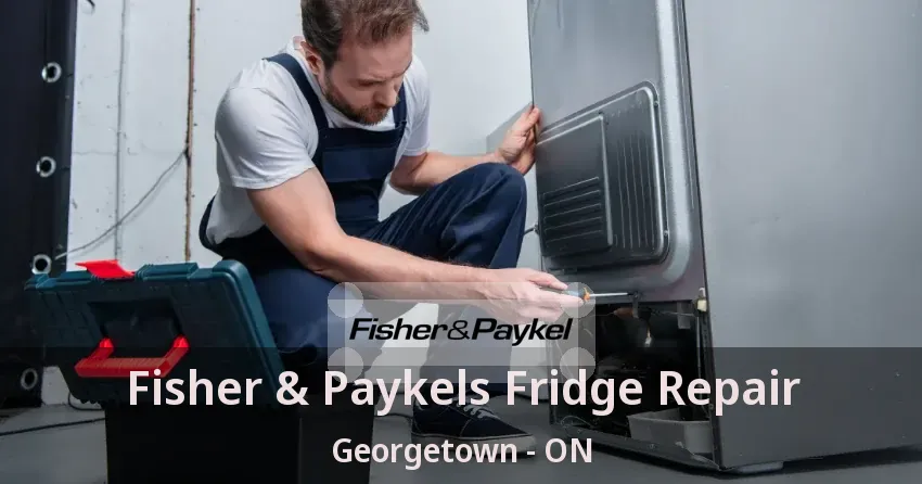Fisher & Paykels Fridge Repair Georgetown - ON