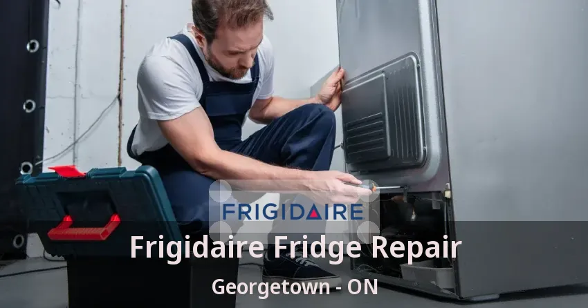 Frigidaire Fridge Repair Georgetown - ON