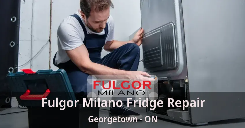 Fulgor Milano Fridge Repair Georgetown - ON
