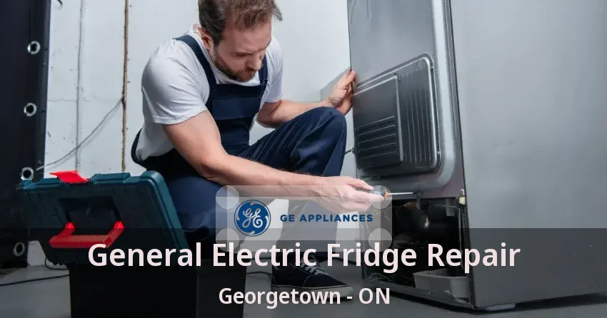 General Electric Fridge Repair Georgetown - ON